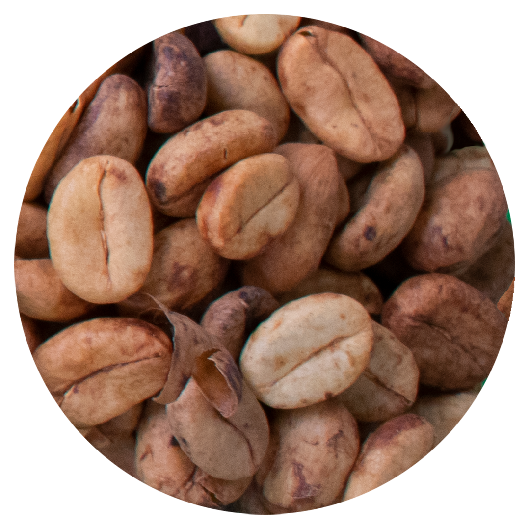 Image module