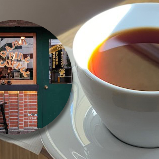 Image module